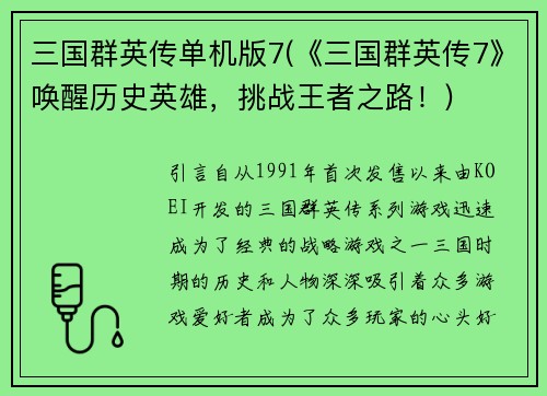 三国群英传单机版7(《三国群英传7》唤醒历史英雄，挑战王者之路！)